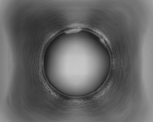 X0000116590529200912171555