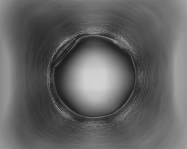 X0000116590530200912171555