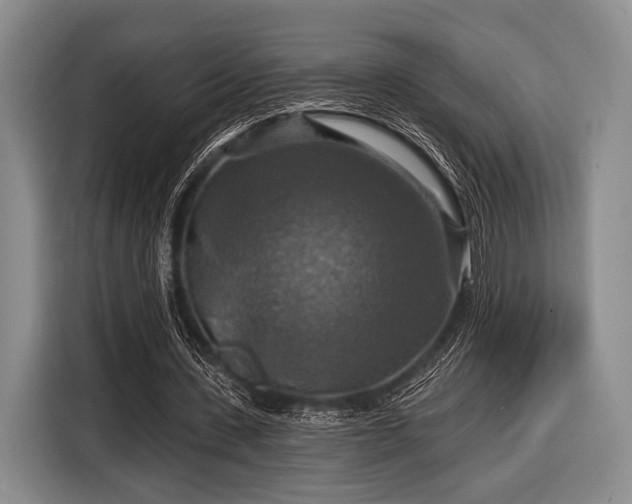 X0000116590531200912171555