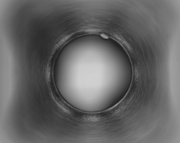 X0000116590533200912171555