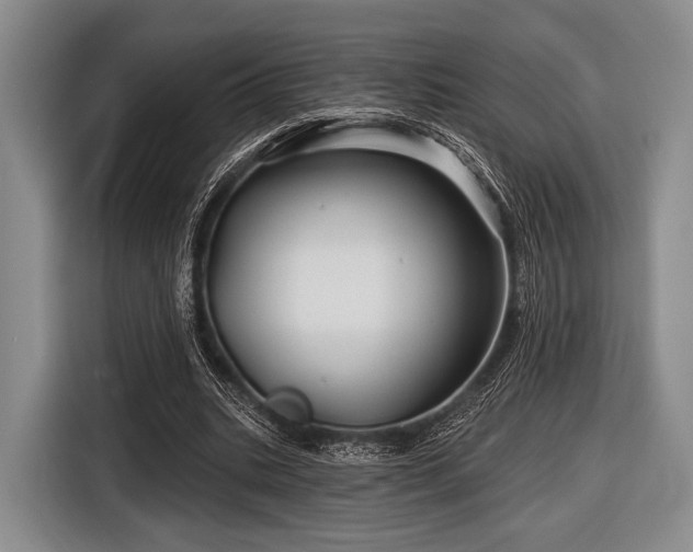 X0000116590535200912171555