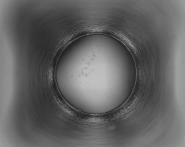 X0000116590537200912171555