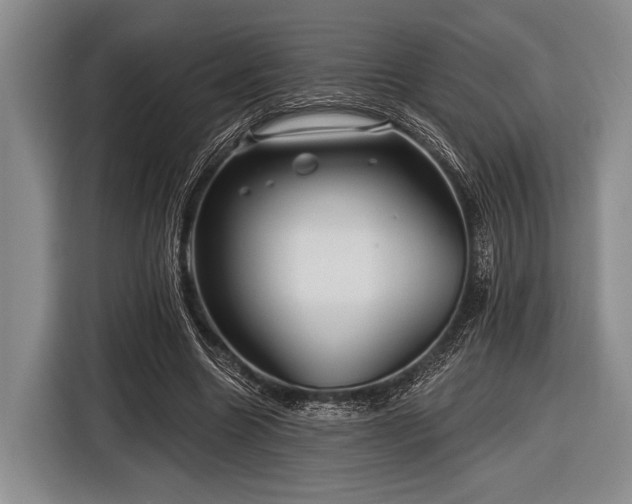 X0000116590538200912171555