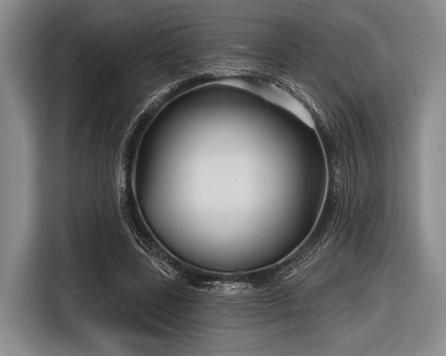 X0000116590539200912171555