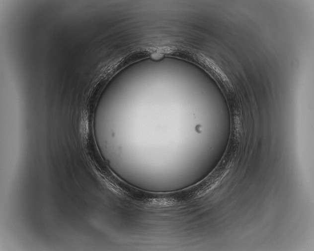 X0000116590541200912171555