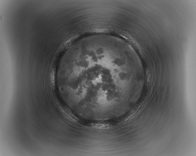 X0000116590542200912171555