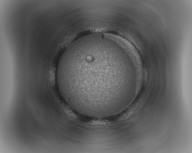 X0000116590545200912171555