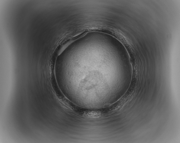 X0000116590546200912171555