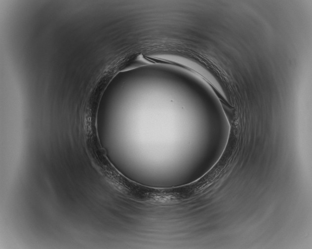 X0000116590547200912171555