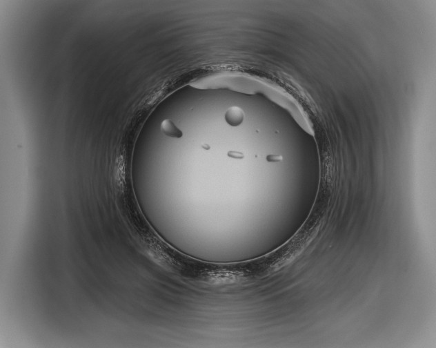 X0000116590549200912171555