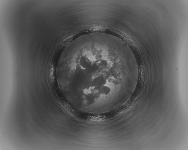 X0000116590550200912171555