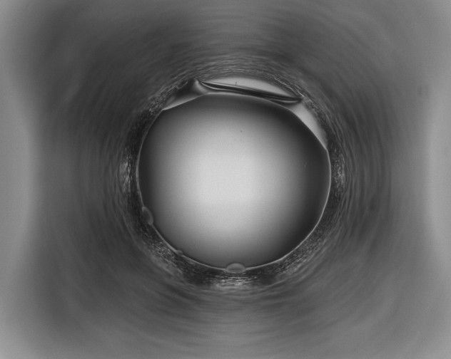 X0000116590551200912171555