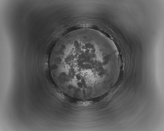 X0000116590553200912171555