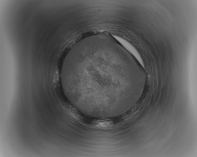 X0000116590555200912171555