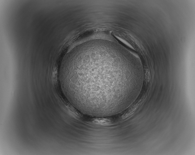 X0000116590557200912171555