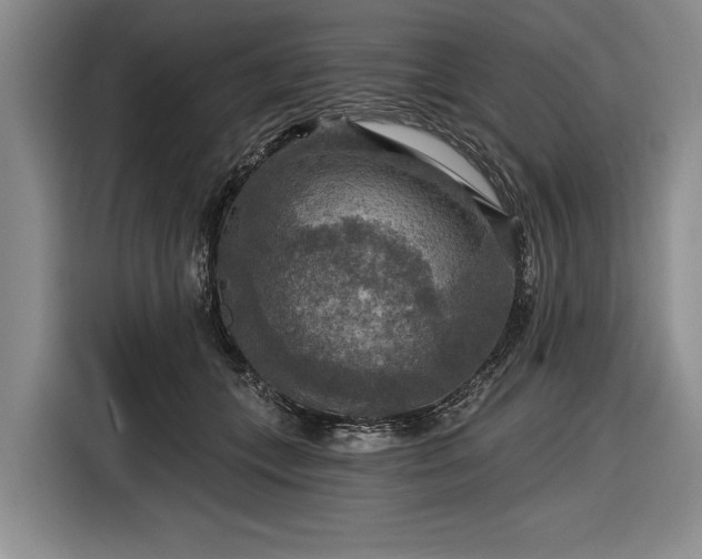 X0000116590559200912171555