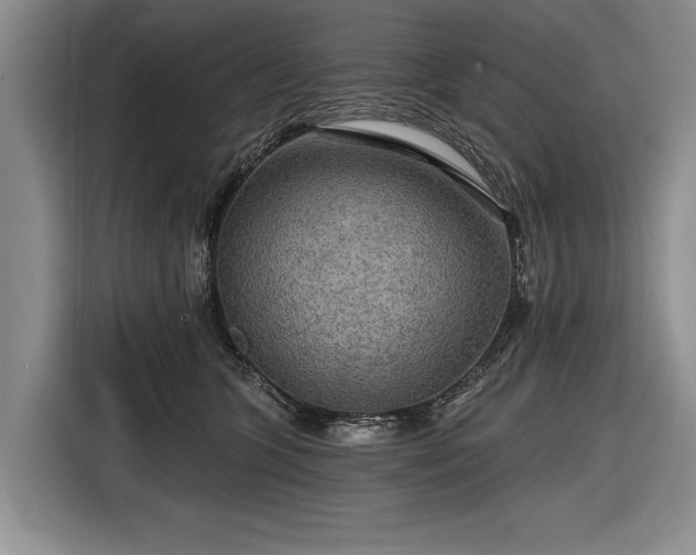 X0000116590563200912171555