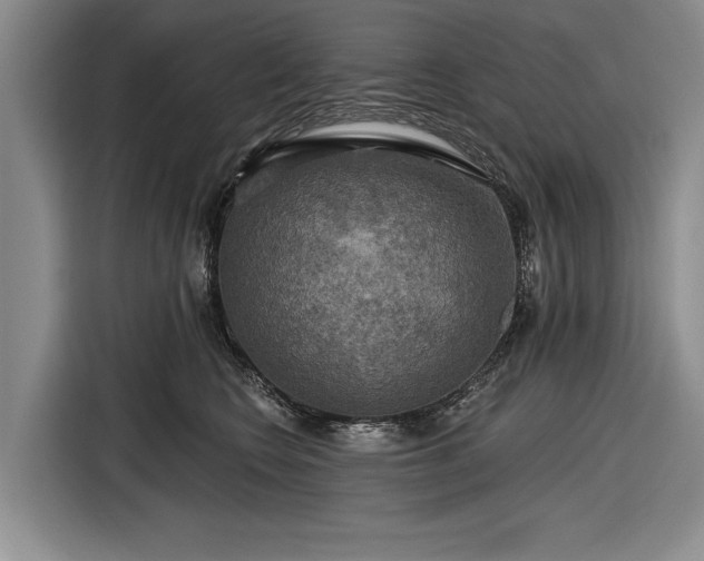 X0000116590566200912171555