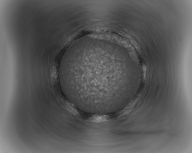 X0000116590569200912171555