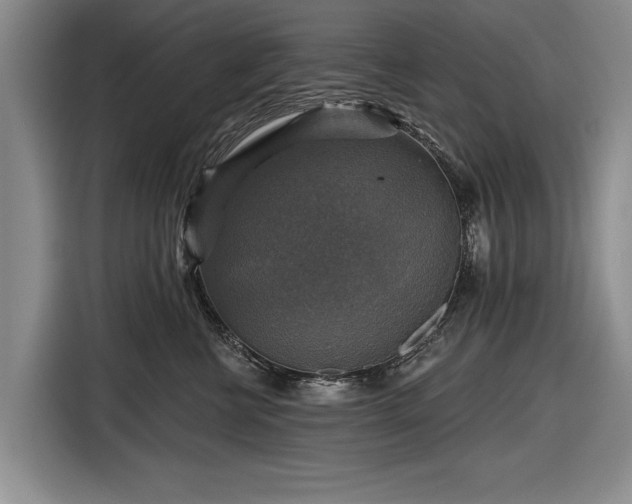 X0000116590570200912171556