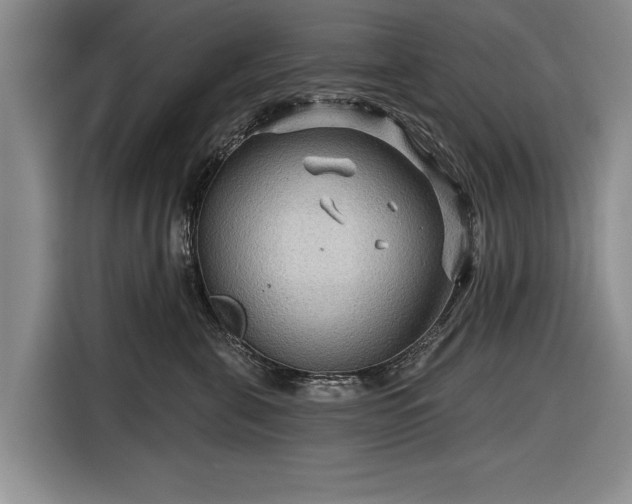 X0000116590571200912171556