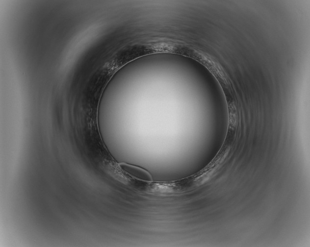 X0000116590573200912171556