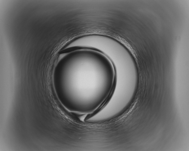 X0000116590577200912171555