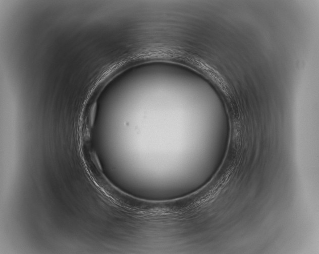 X0000116590578200912171555