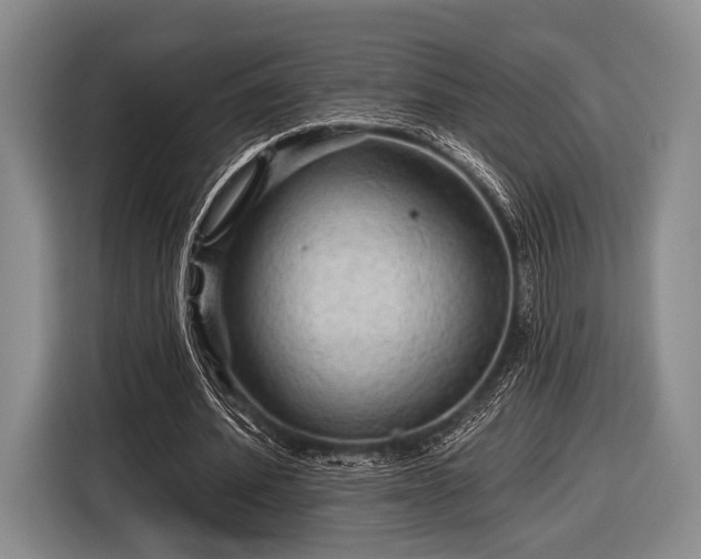 X0000116590580200912171555