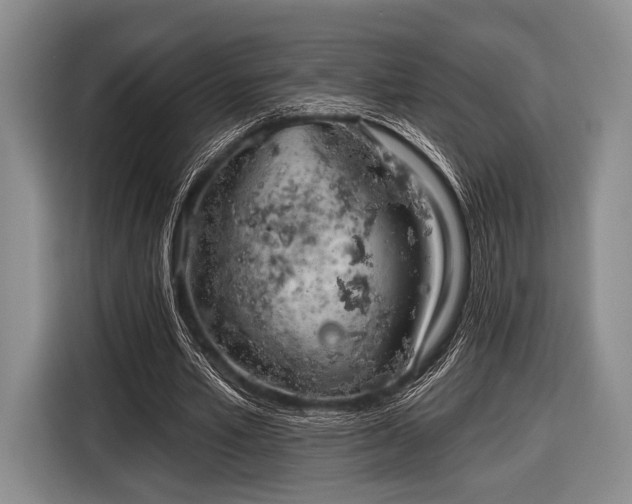 X0000116590581200912171555