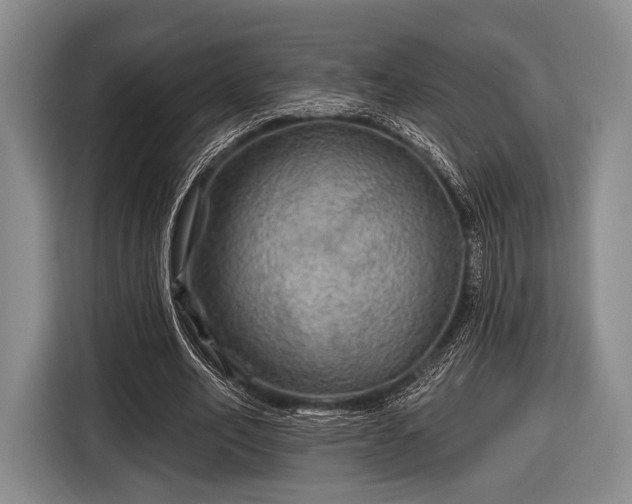 X0000116590582200912171555