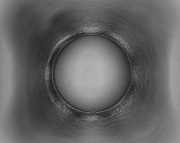 X0000116590583200912171555