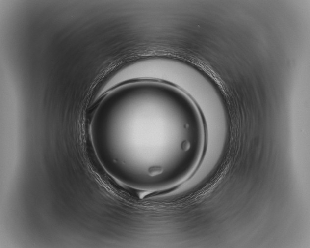 X0000116590585200912171555