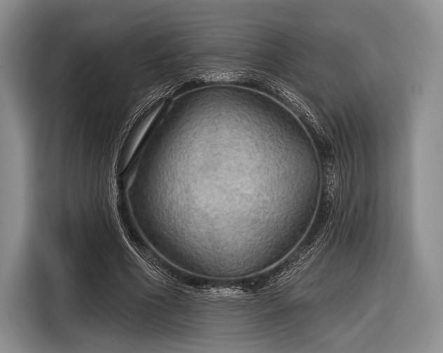 X0000116590586200912171555