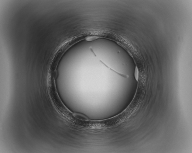 X0000116590587200912171555