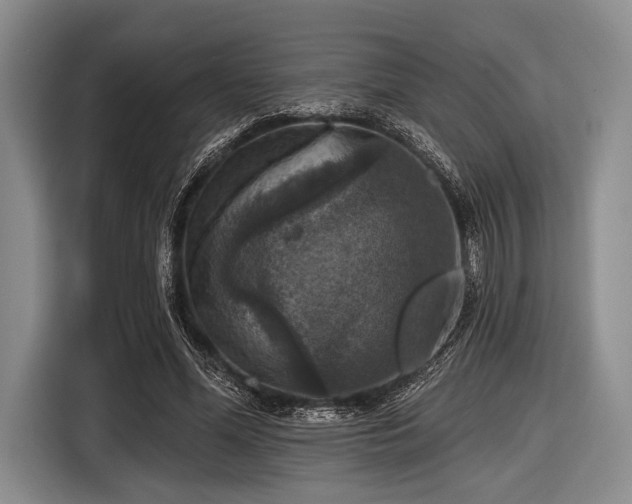 X0000116590588200912171555