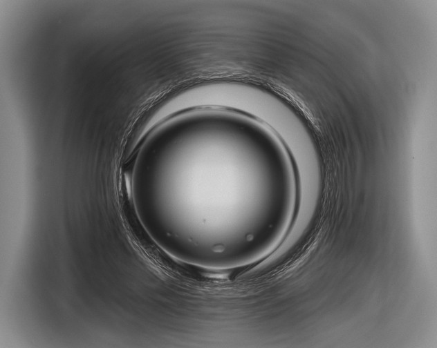 X0000116590589200912171555