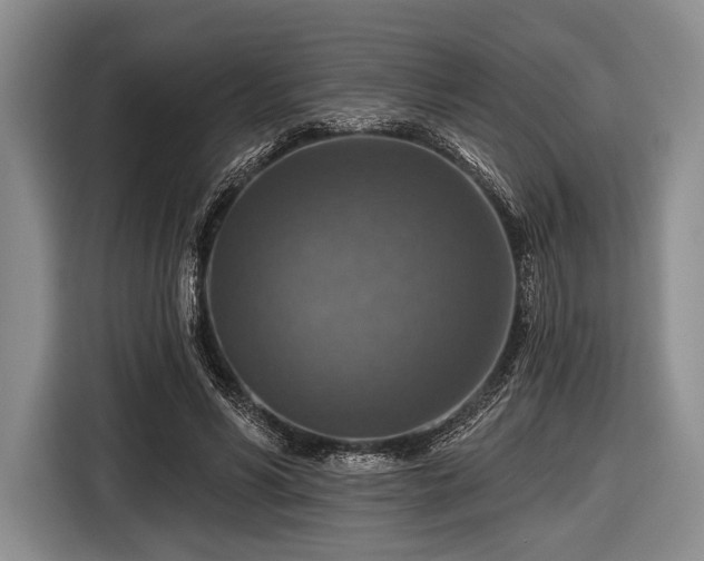 X0000116590590200912171555