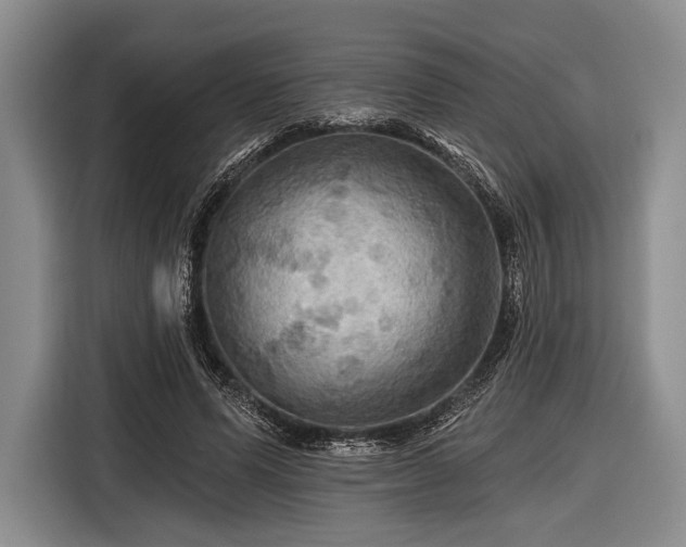 X0000116590591200912171555