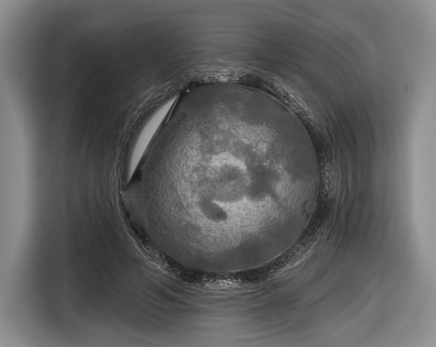 X0000116590594200912171555