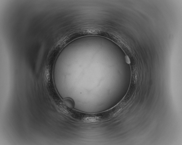 X0000116590595200912171555