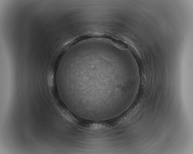 X0000116590596200912171555