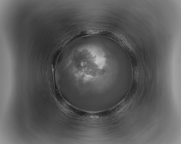 X0000116590598200912171555