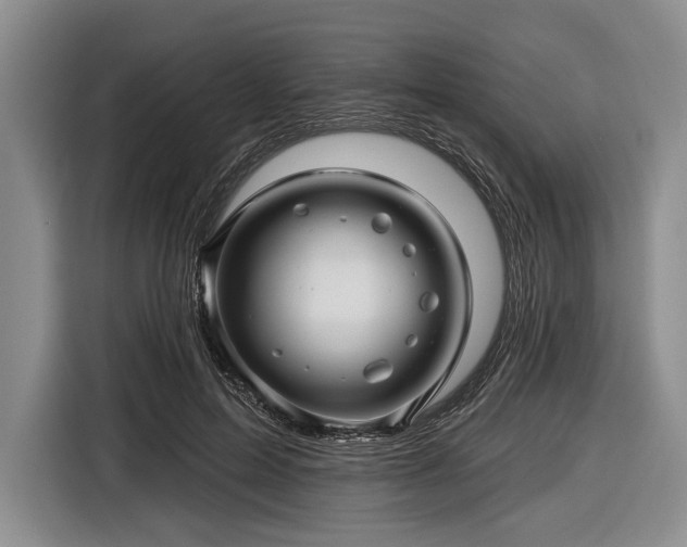 X0000116590599200912171555