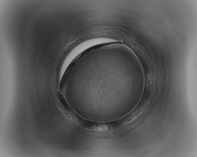 X0000116590600200912171555