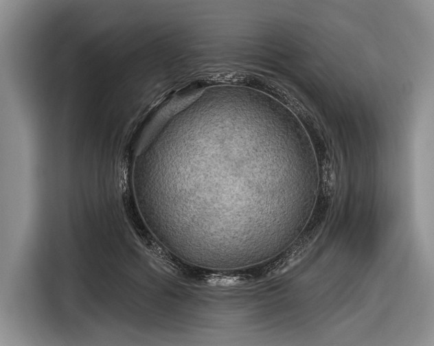 X0000116590602200912171555