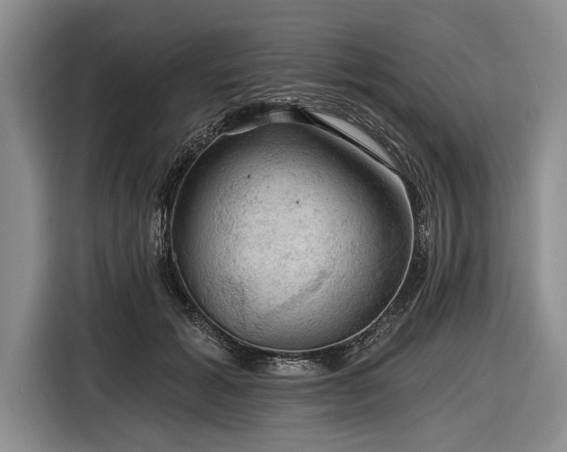 X0000116590605200912171555