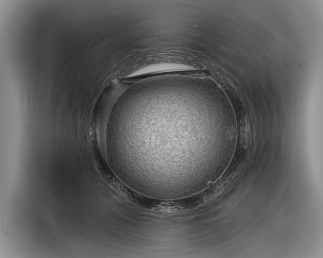 X0000116590608200912171555