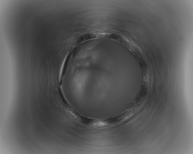 X0000116590610200912171555