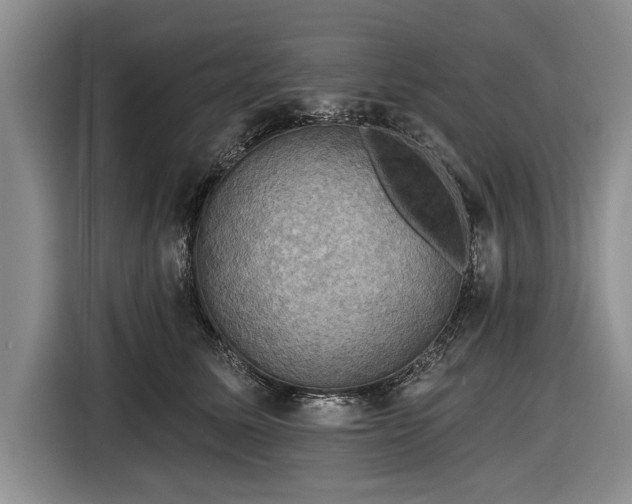 X0000116590611200912171555